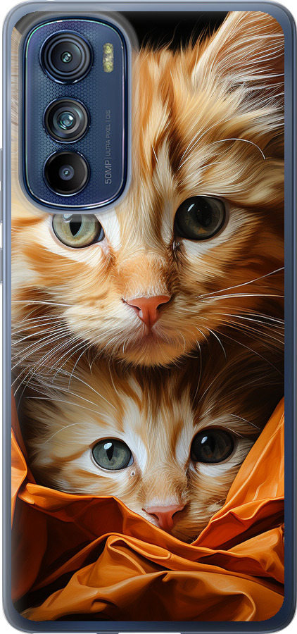 Котики 2