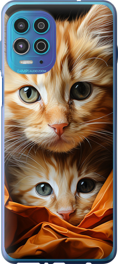 Котики 2