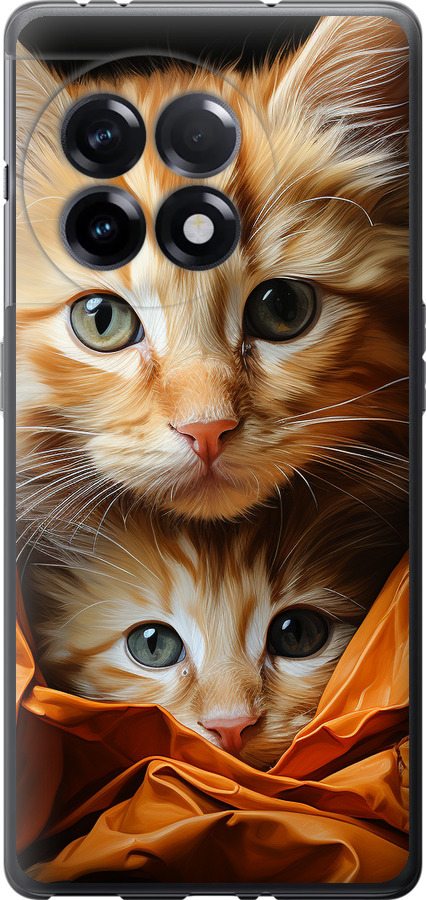 Котики 2
