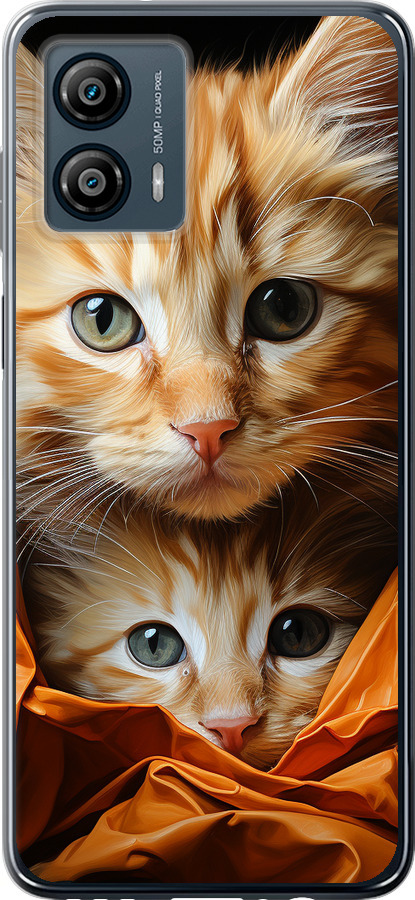 Котики 2
