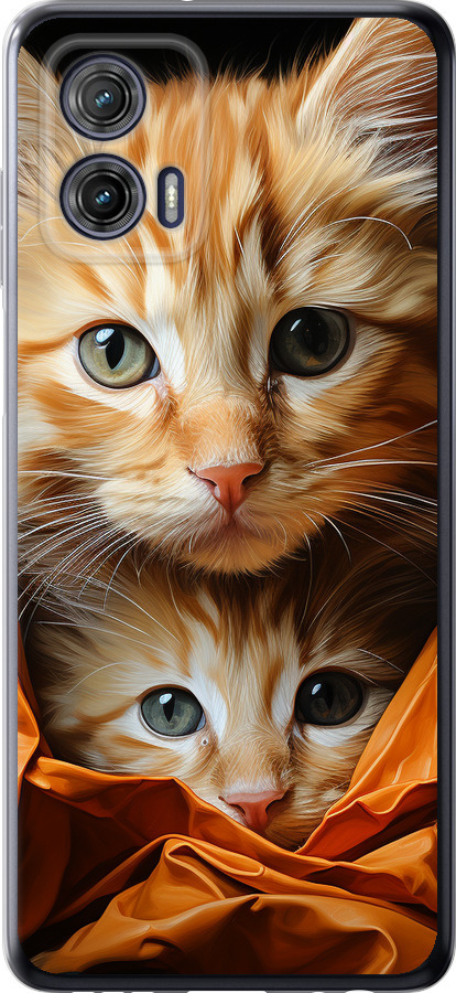 Котики 2
