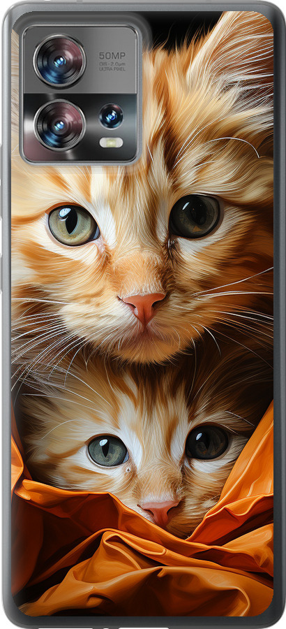 Котики 2
