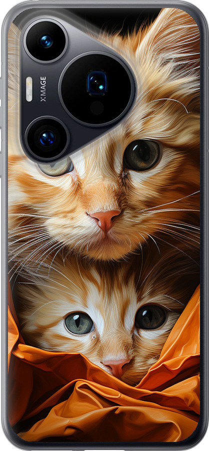 Котики 2