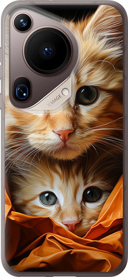Котики 2