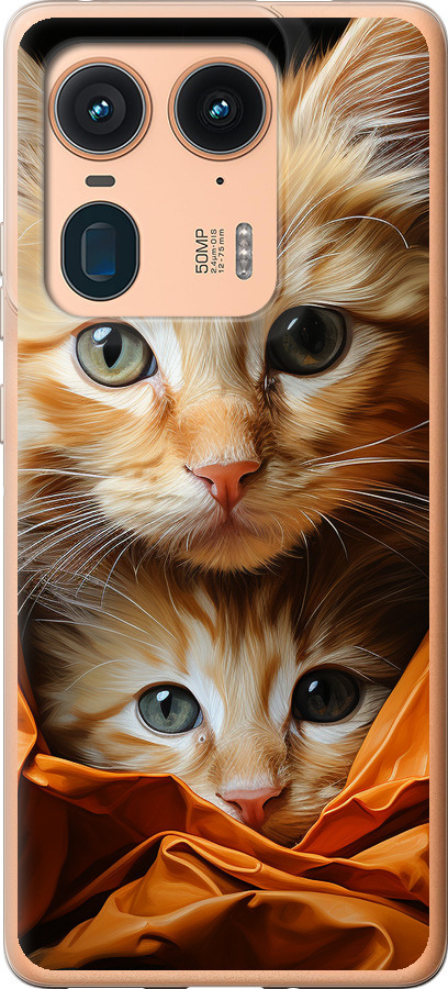 Котики 2