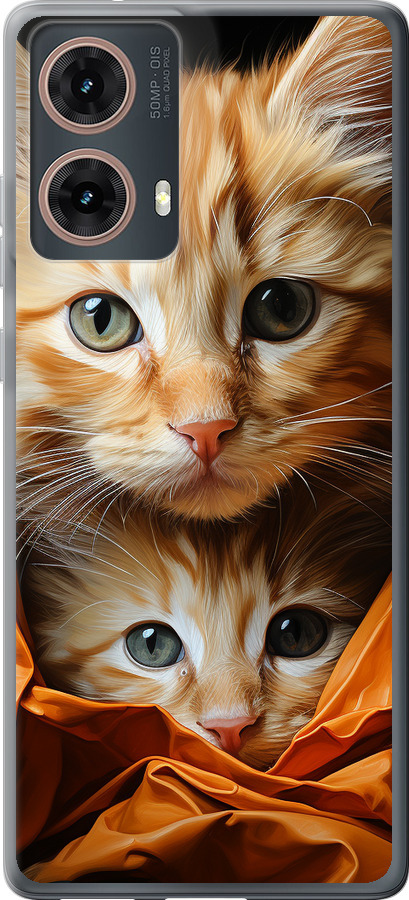 Котики 2