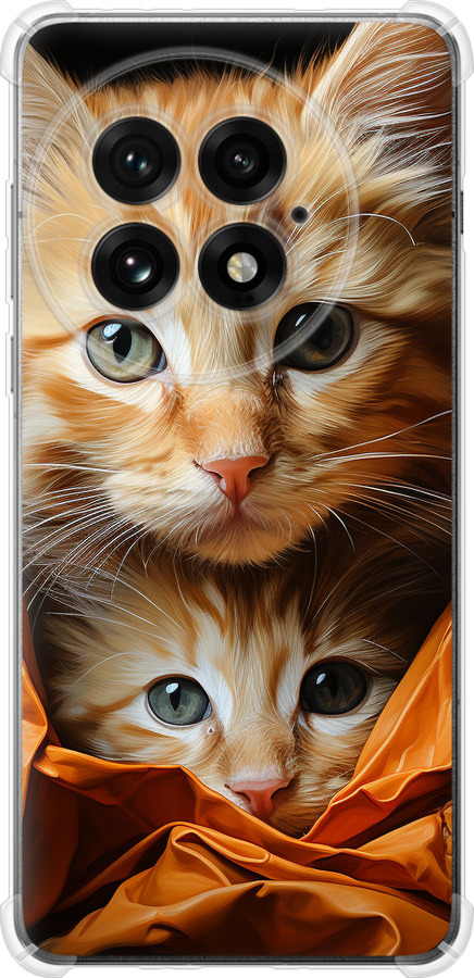 Котики 2