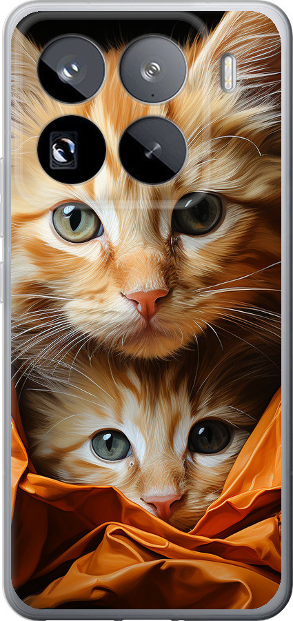 Котики 2