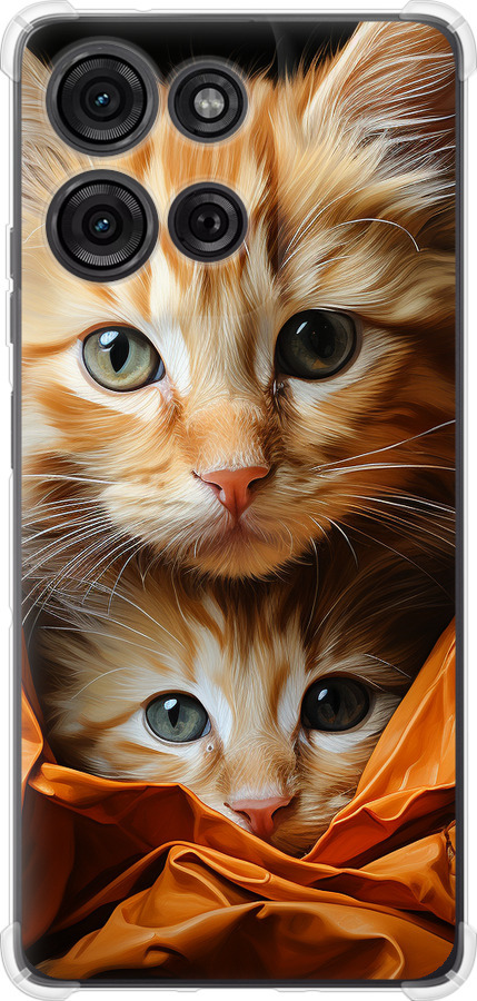 Котики 2