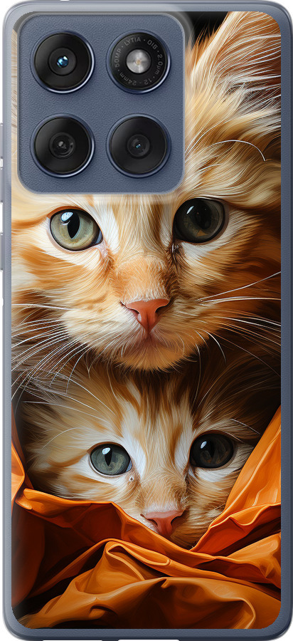 Котики 2