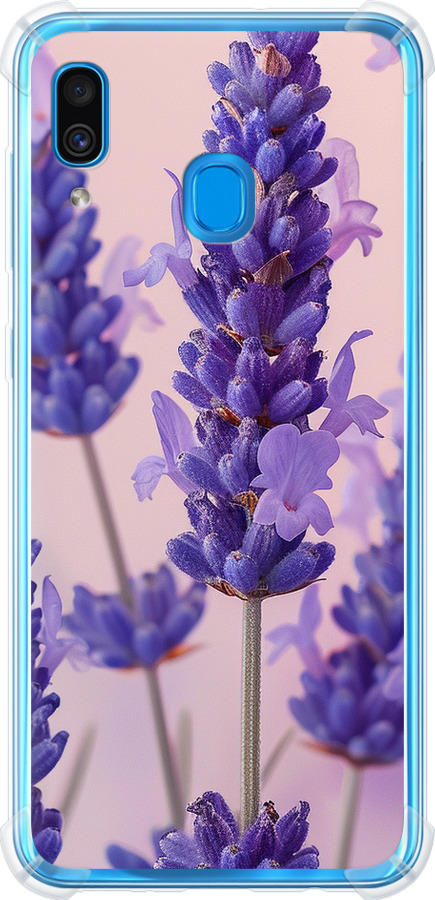 Лаванда