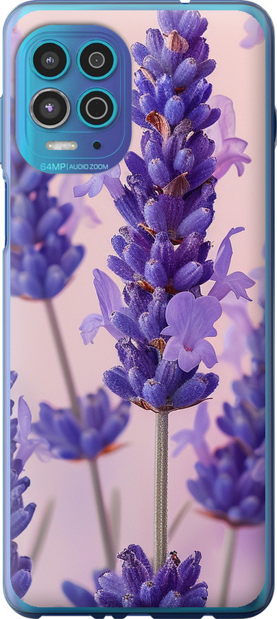 Лаванда