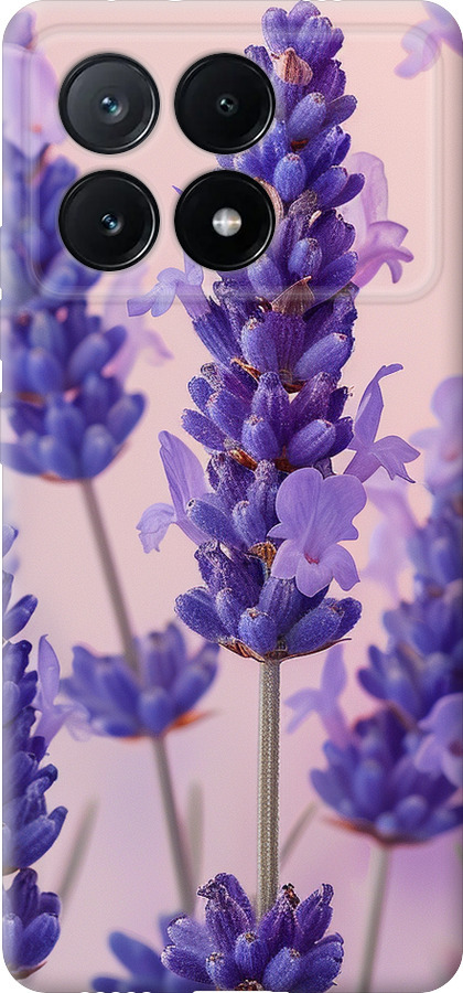 Лаванда