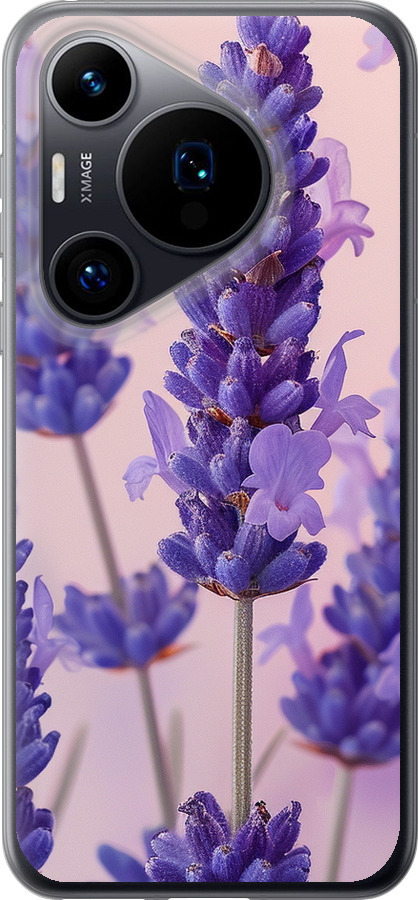 Лаванда