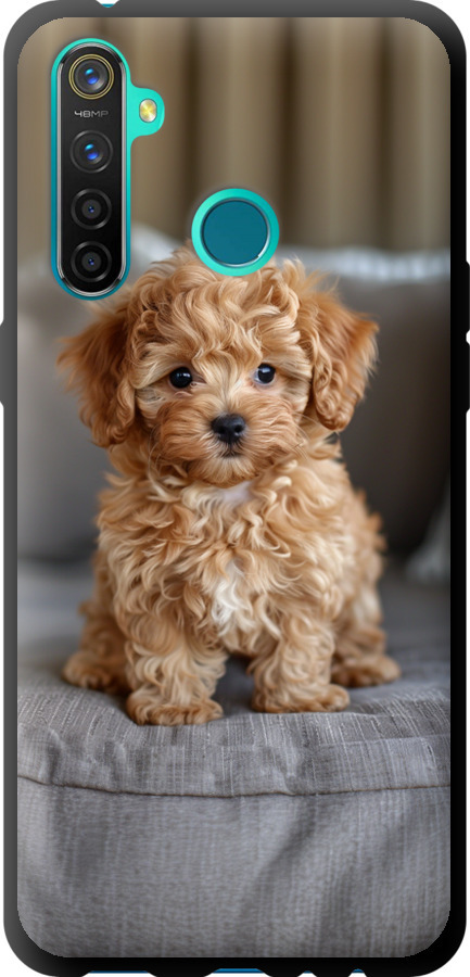 Mini-maltipoo