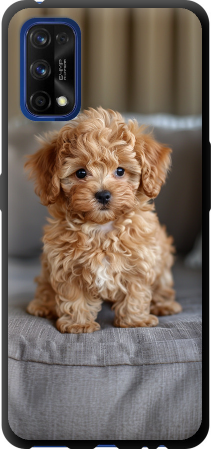 Mini-maltipoo