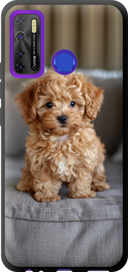 Mini-maltipoo