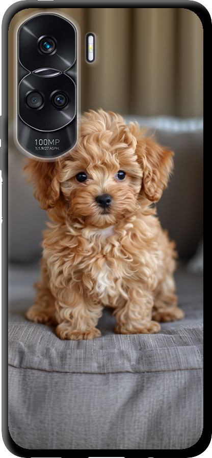 Mini-maltipoo