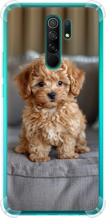 Mini-maltipoo