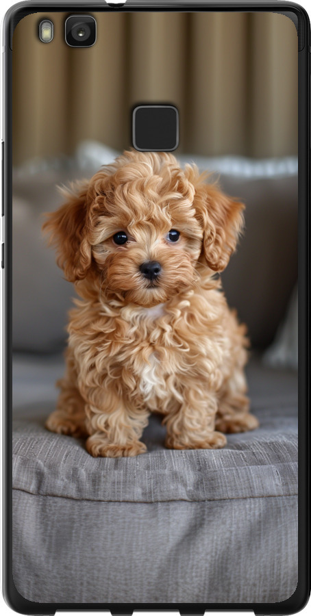 Mini-maltipoo