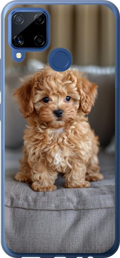Mini-maltipoo