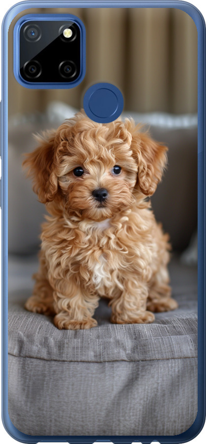 Mini-maltipoo