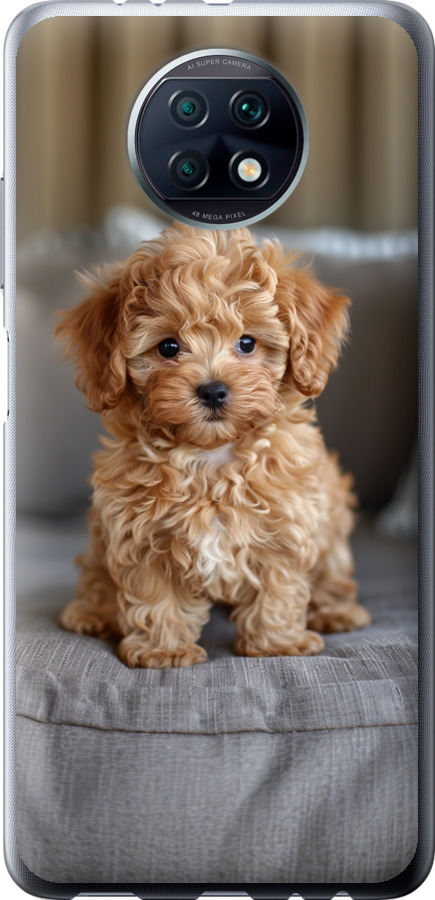 Mini-maltipoo