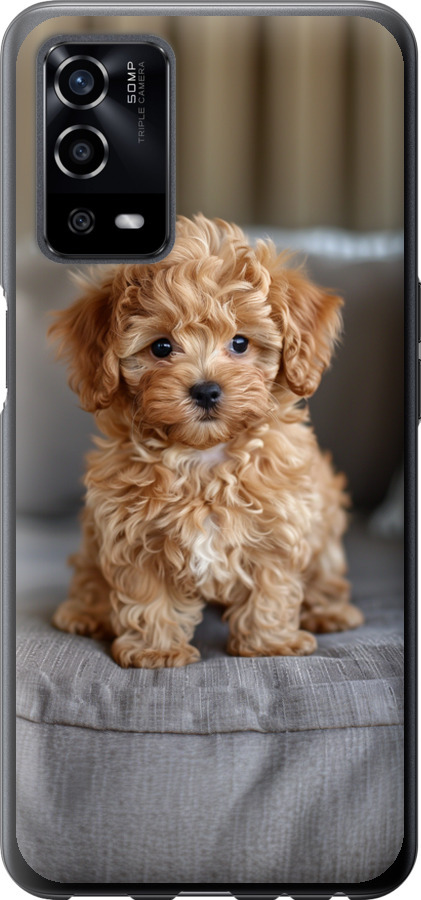 Mini-maltipoo