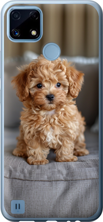 Mini-maltipoo