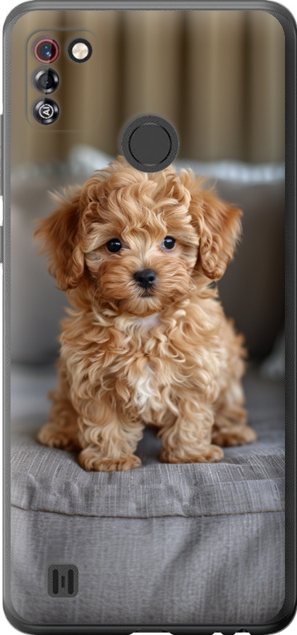 Mini-maltipoo