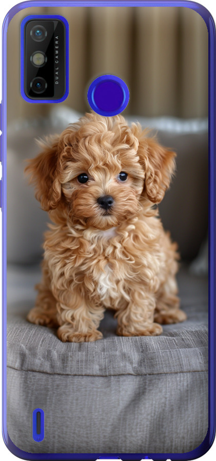 Mini-maltipoo