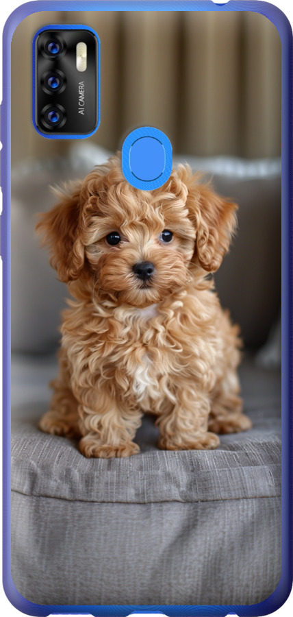 Mini-maltipoo