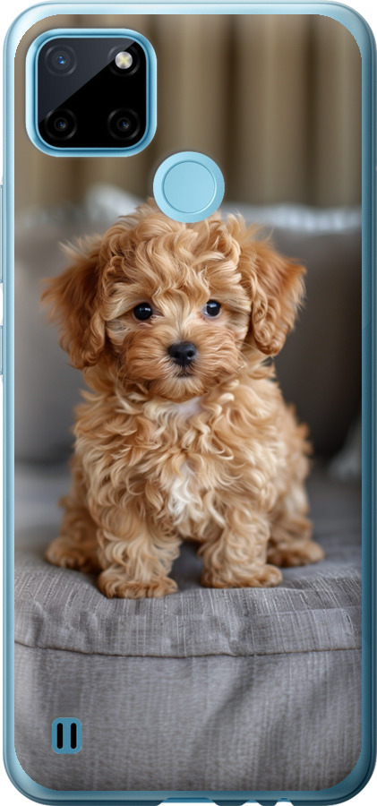 Mini-maltipoo
