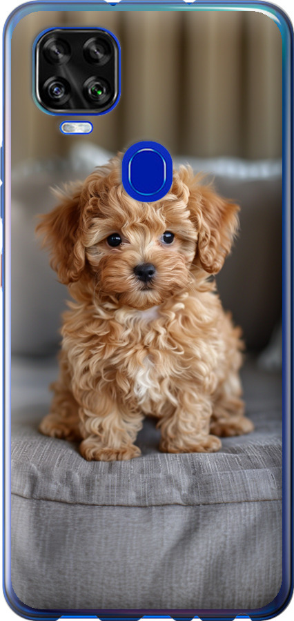 Mini-maltipoo