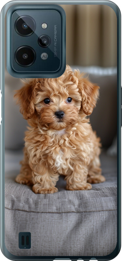 Mini-maltipoo
