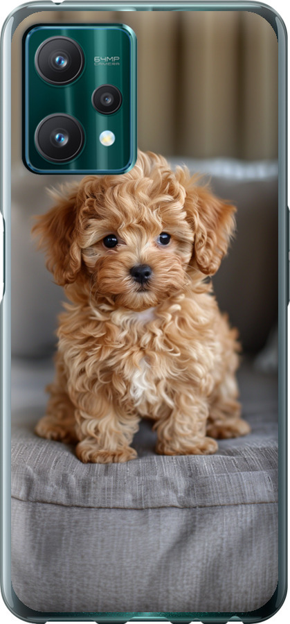 Mini-maltipoo