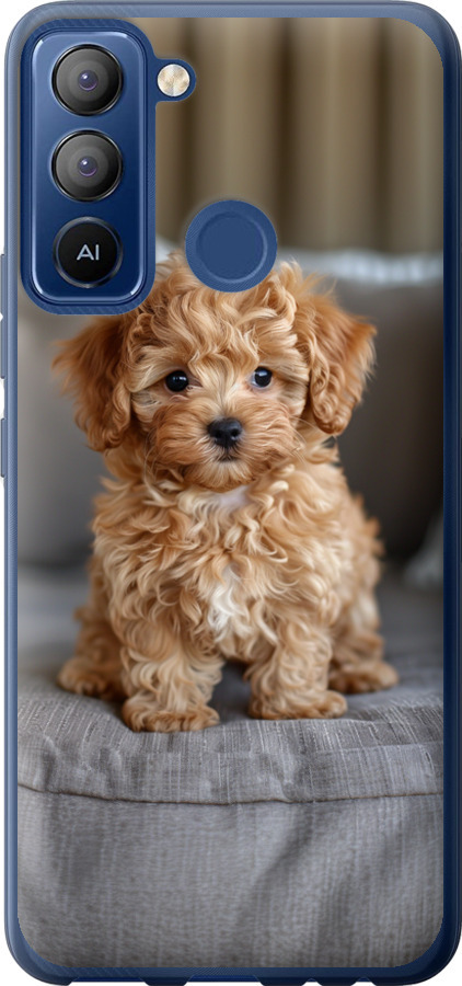 Mini-maltipoo