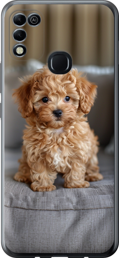 Mini-maltipoo