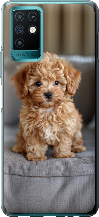 Mini-maltipoo