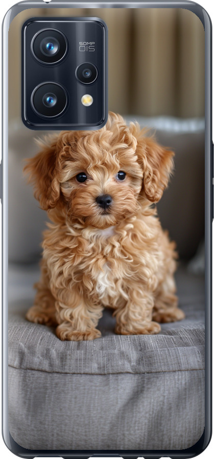 Mini-maltipoo