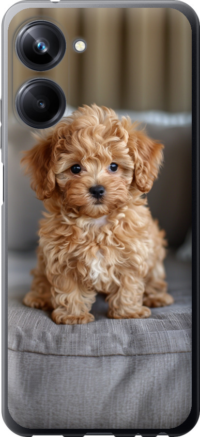 Mini-maltipoo