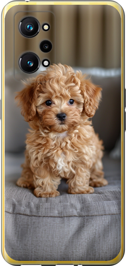 Mini-maltipoo