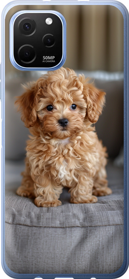 Mini-maltipoo