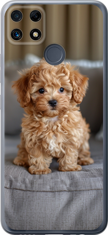 Mini-maltipoo