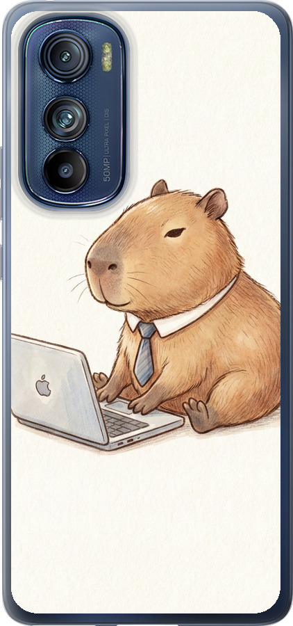 Funny Capybara CEO Working
