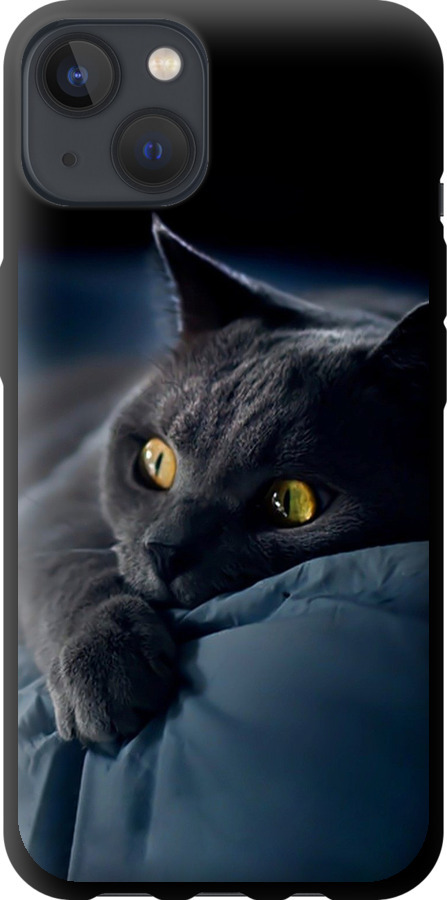 Чохли для iPhone 13