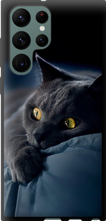 Чохли для Samsung Galaxy S22 Ultra
