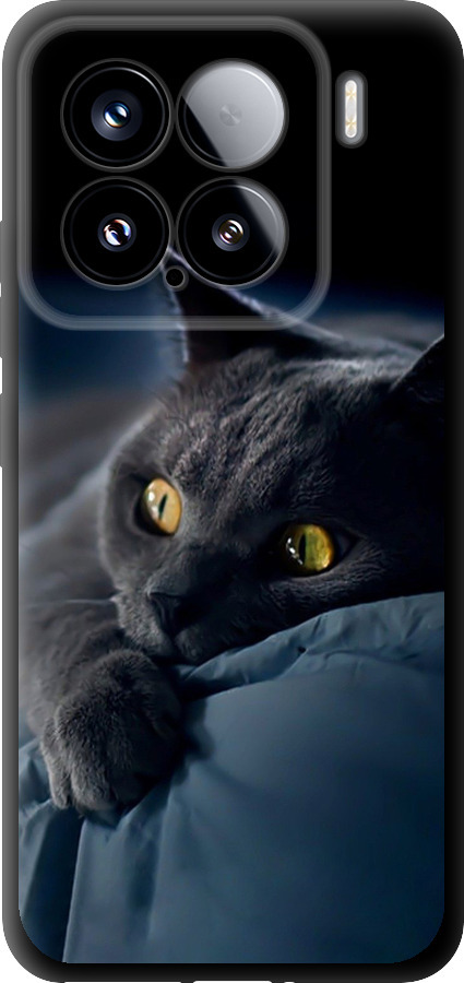 Чохли для Xiaomi Xiaomi 15