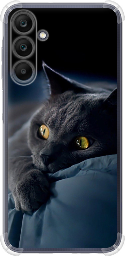 Чохли для Samsung Galaxy A25 5G