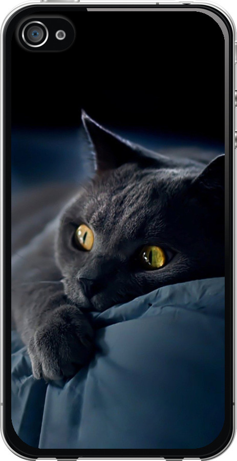 Чохли для iPhone 4s
